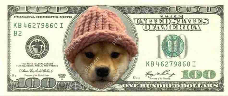 另一个爆炸性的加密公牛跑步正在进行中,索拉纳模因硬币再次领导集会。